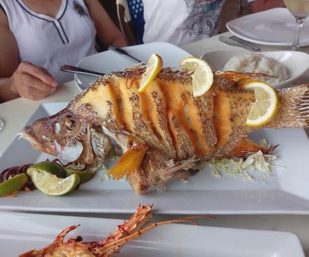 Restaurantes de mariscos en Miami