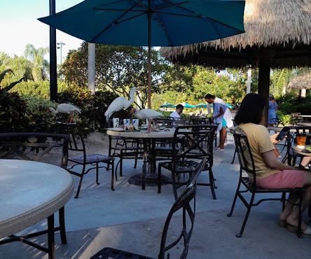Restaurantes en Orlando con vista al lago